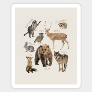 Woodland animals kids room art print Sticker